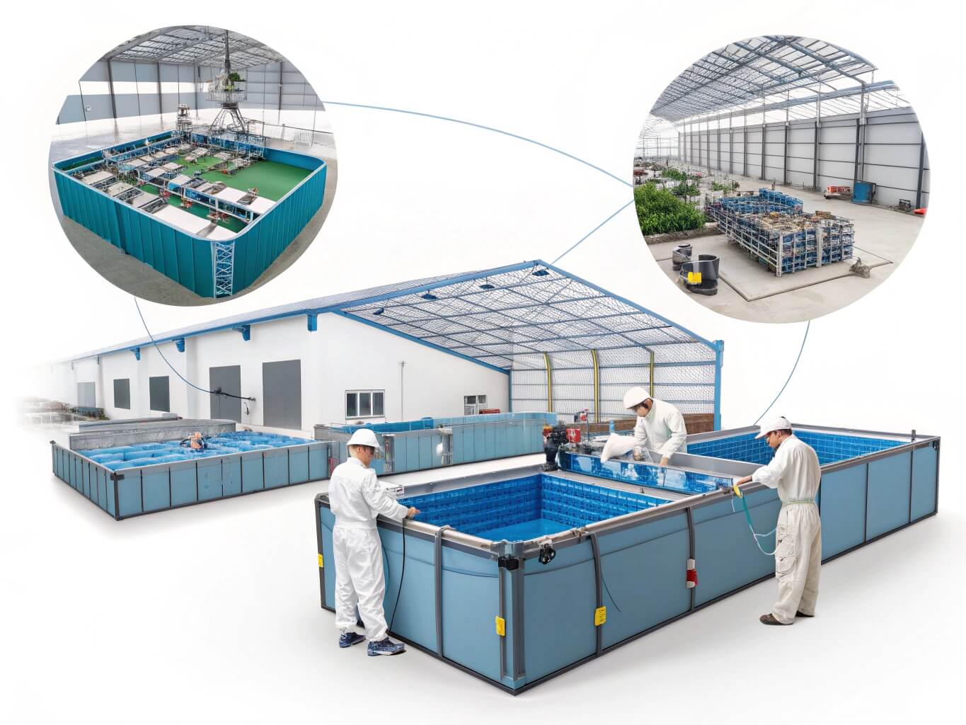 Overview of Bancy's aquaculture tank manufacturing process, showing different stages from production line to finished products in a large factory