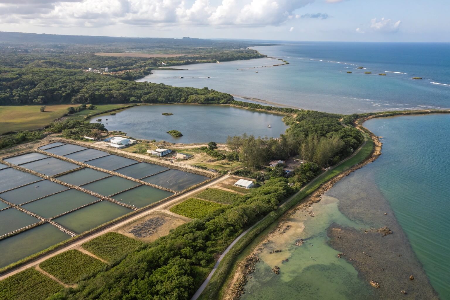 Aquaculture farm overview with fish tanks