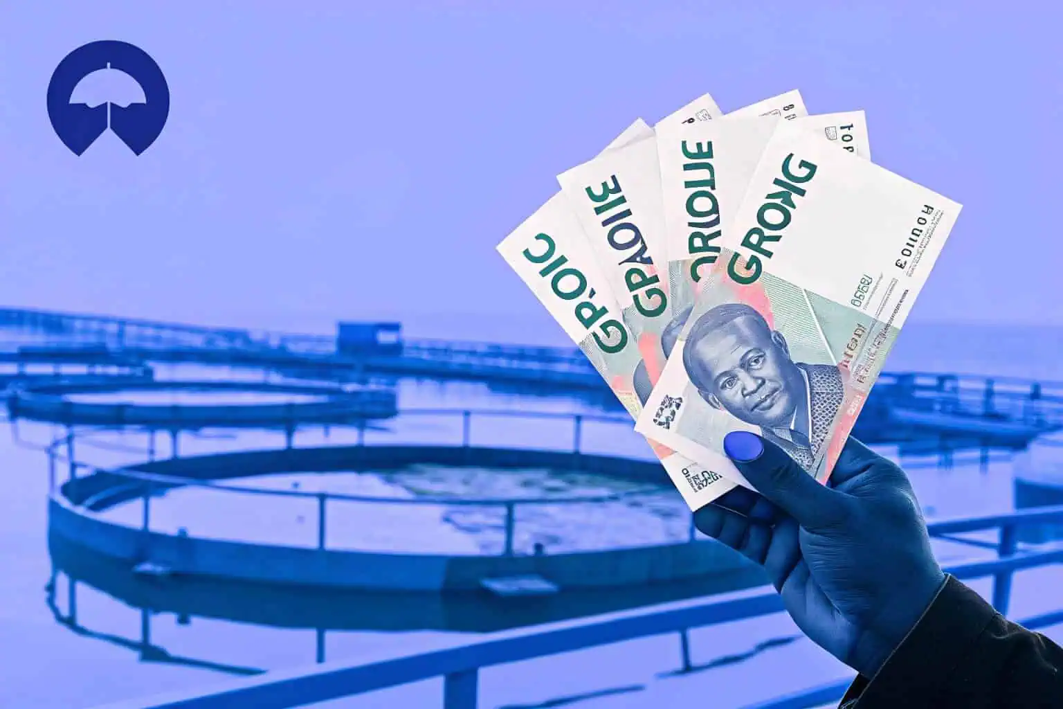 Calculating profits from tilapia farming