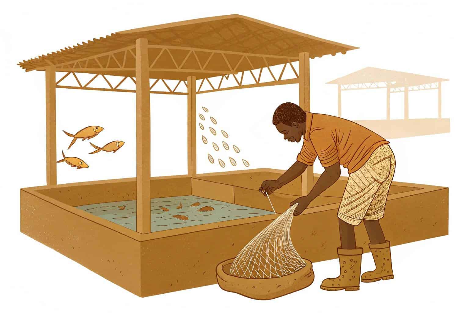 Dominant Farmed Fish in Ghana