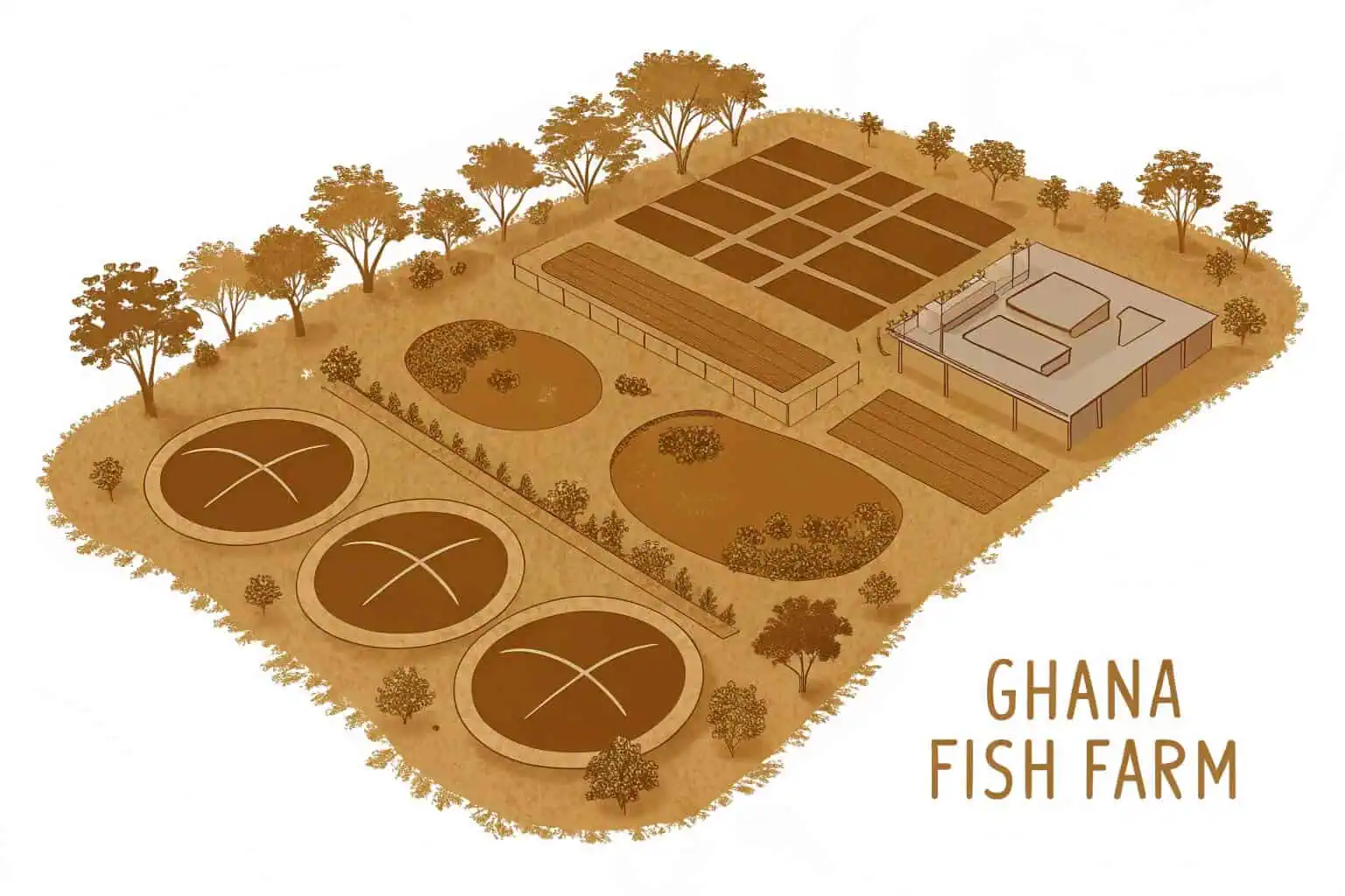 Fish Farming in Ghana