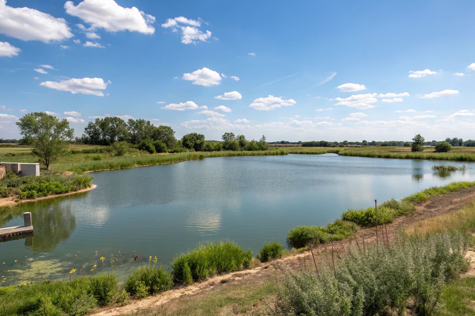 Spacious 1-acre pond ideal for fish life