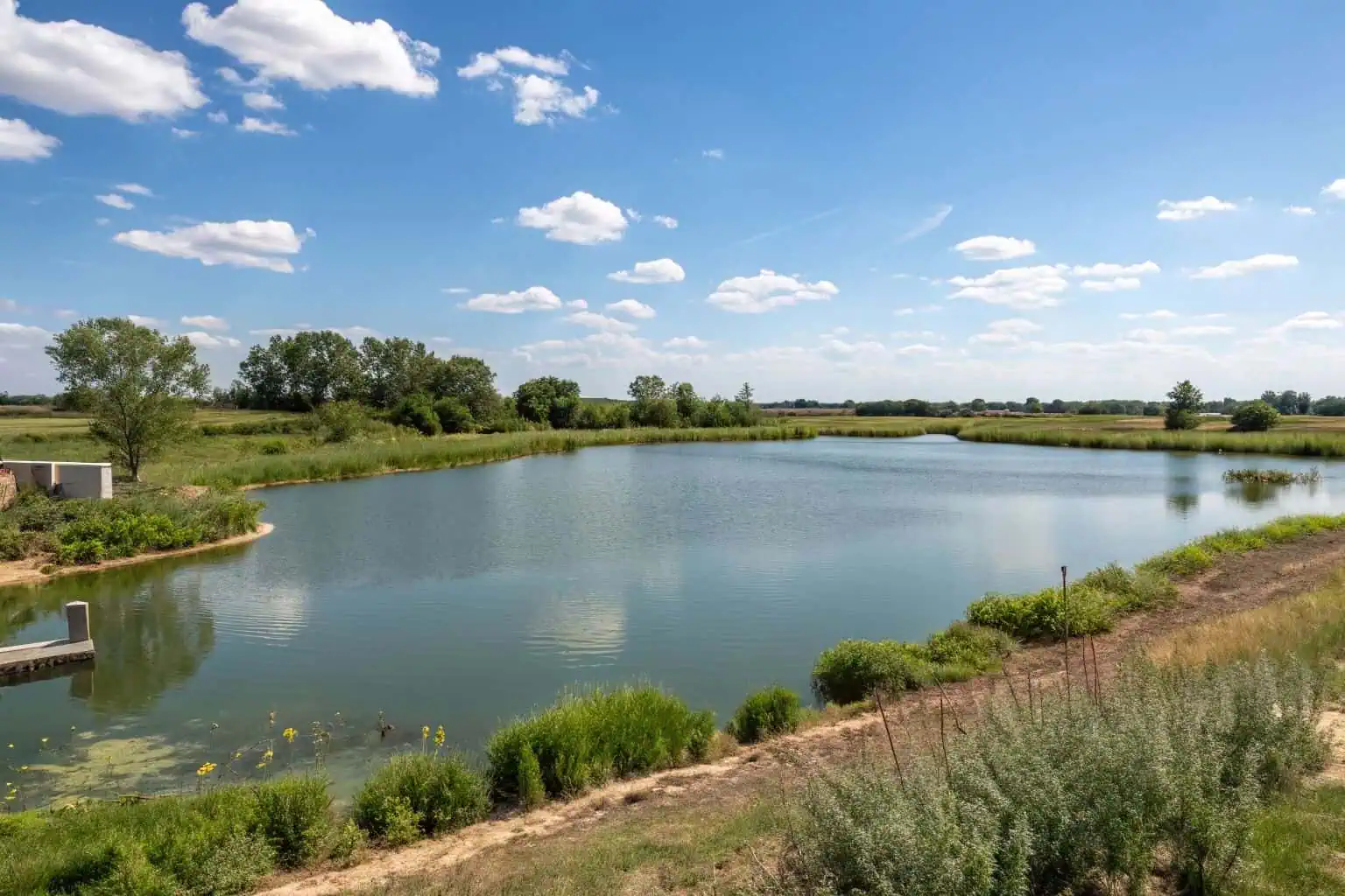 Spacious 1-acre pond ideal for fish life
