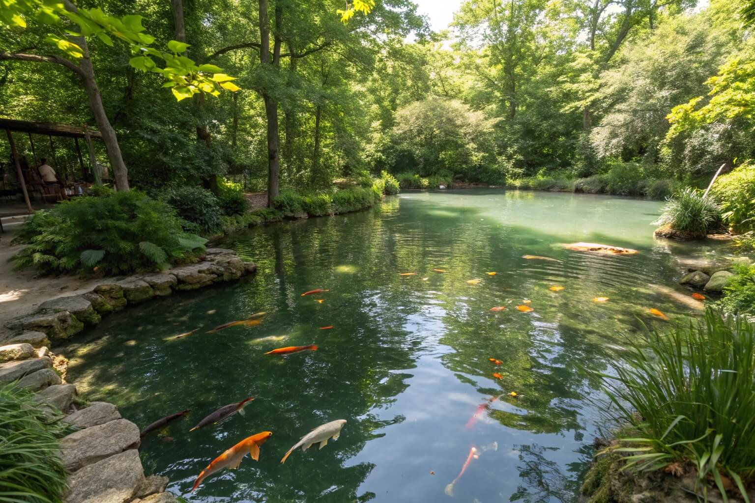 Lush one-acre pond with fish jumping