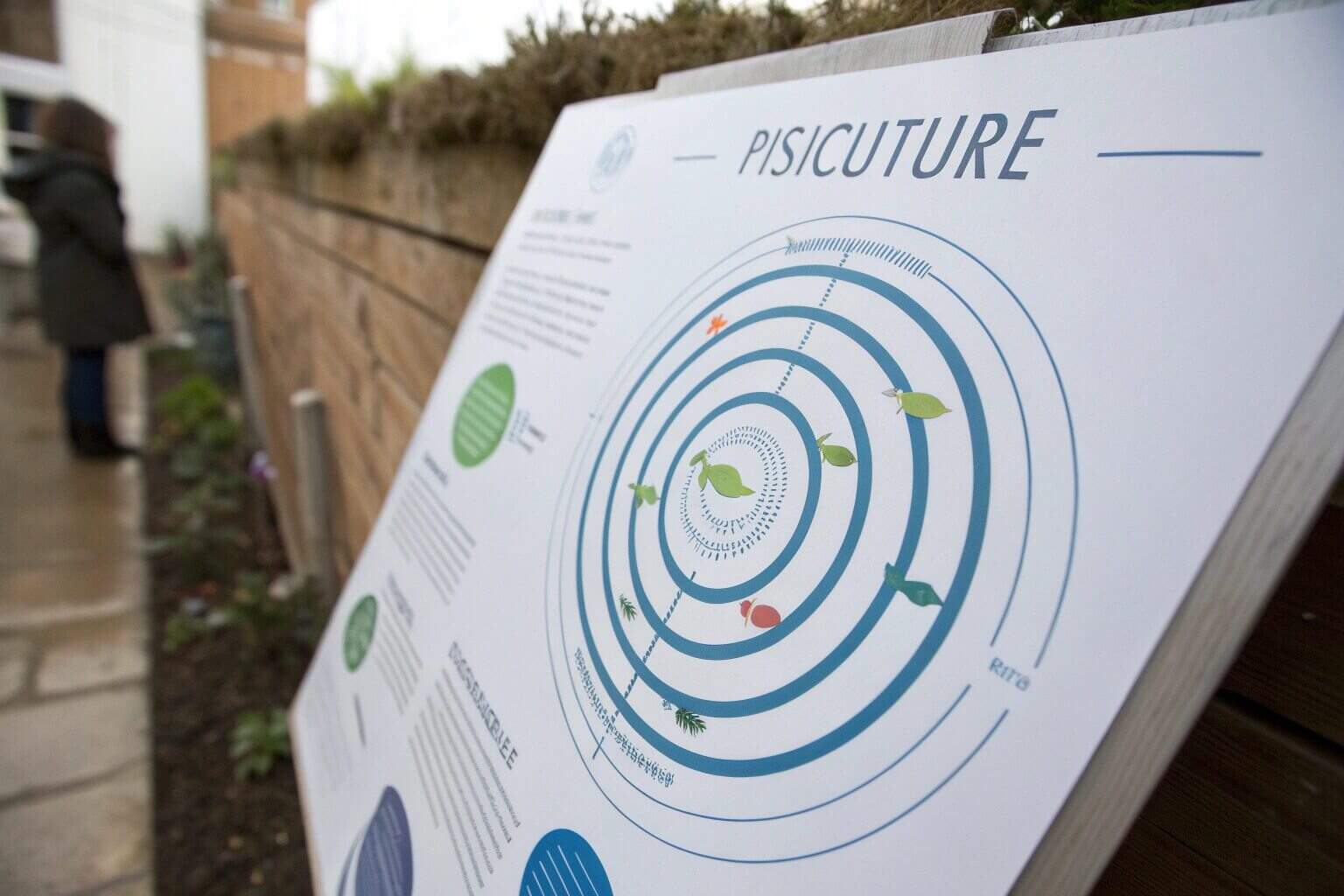 A diagram showing aquaculture as a large circle with pisciculture as a smaller circle inside it.