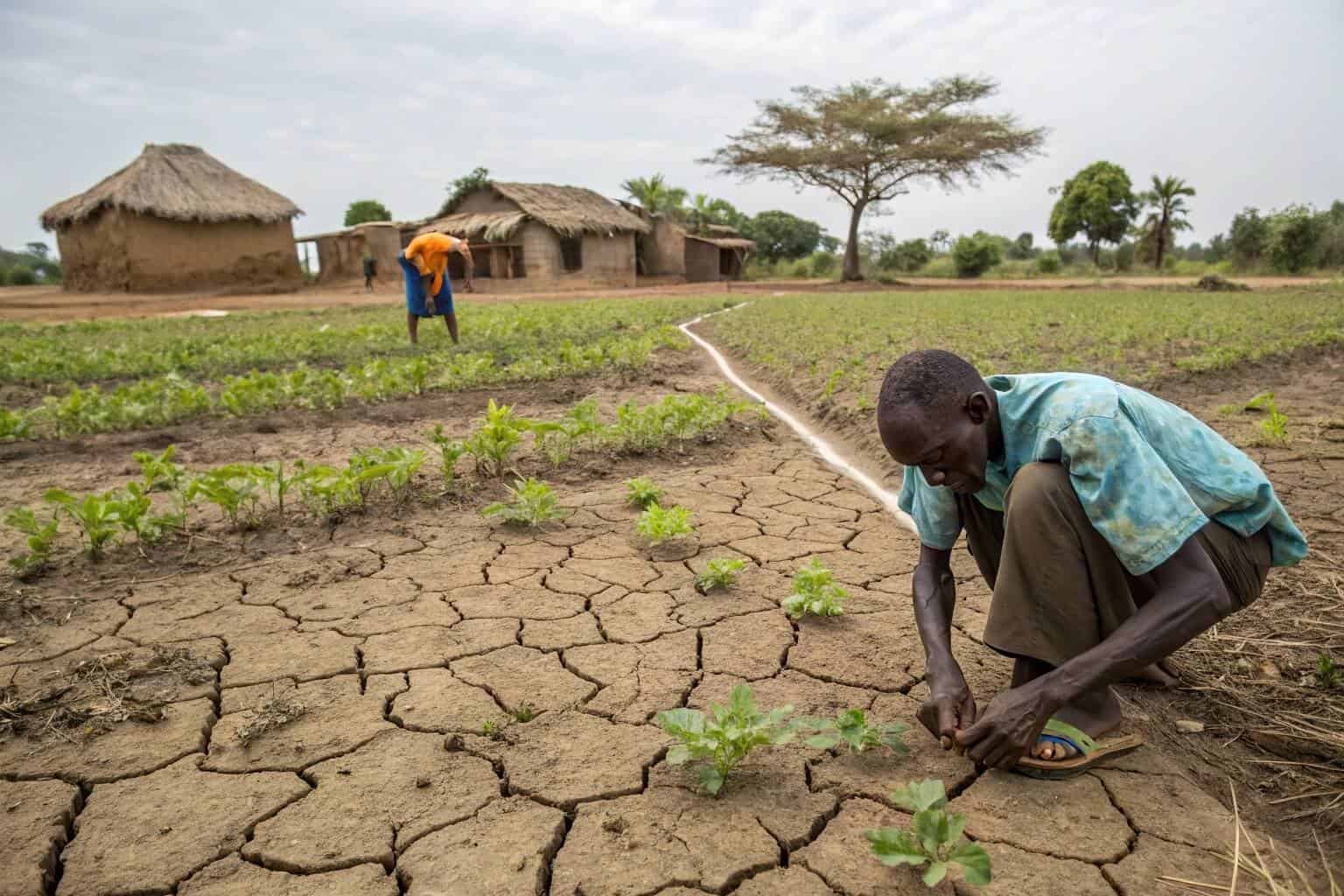 Challenges for Ghanaian farmers