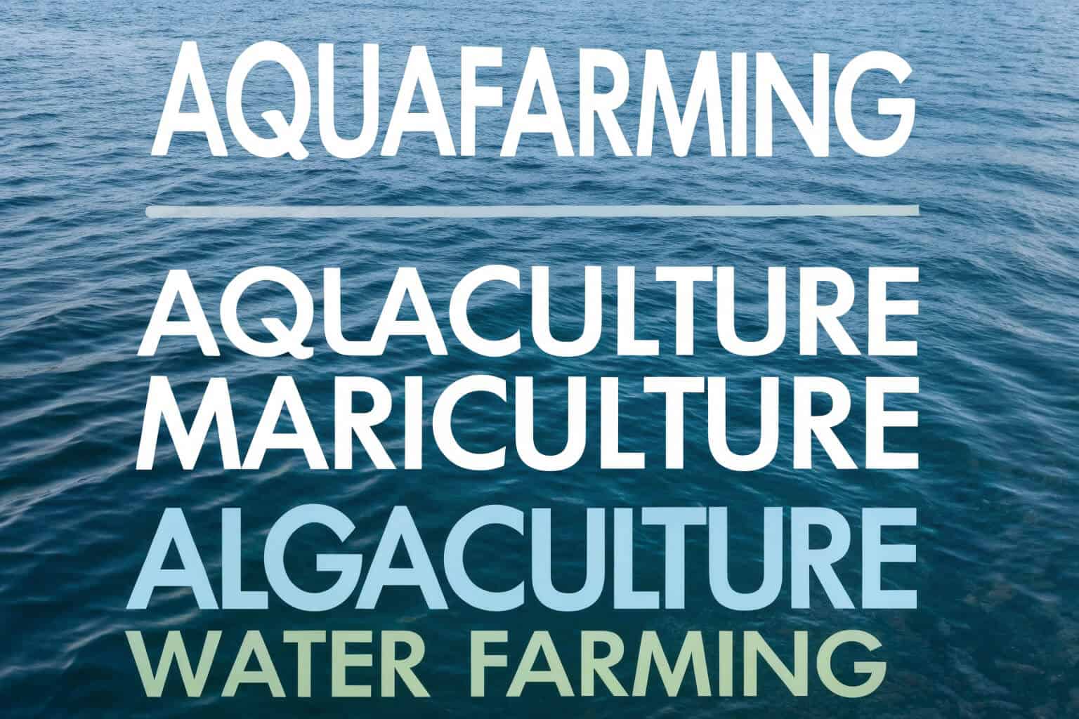 A word cloud with 'Aquaculture' at the center and related terms like 'Aquafarming', 'Water Farming', 'Fish Farming' around it.