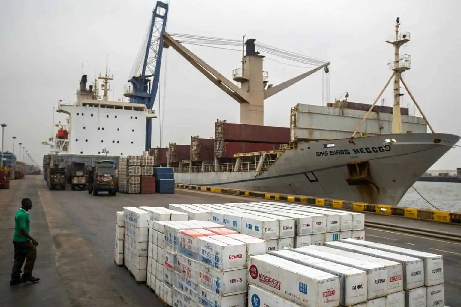 Cargo ship with imported goods, including fish, at a Ghanaian port