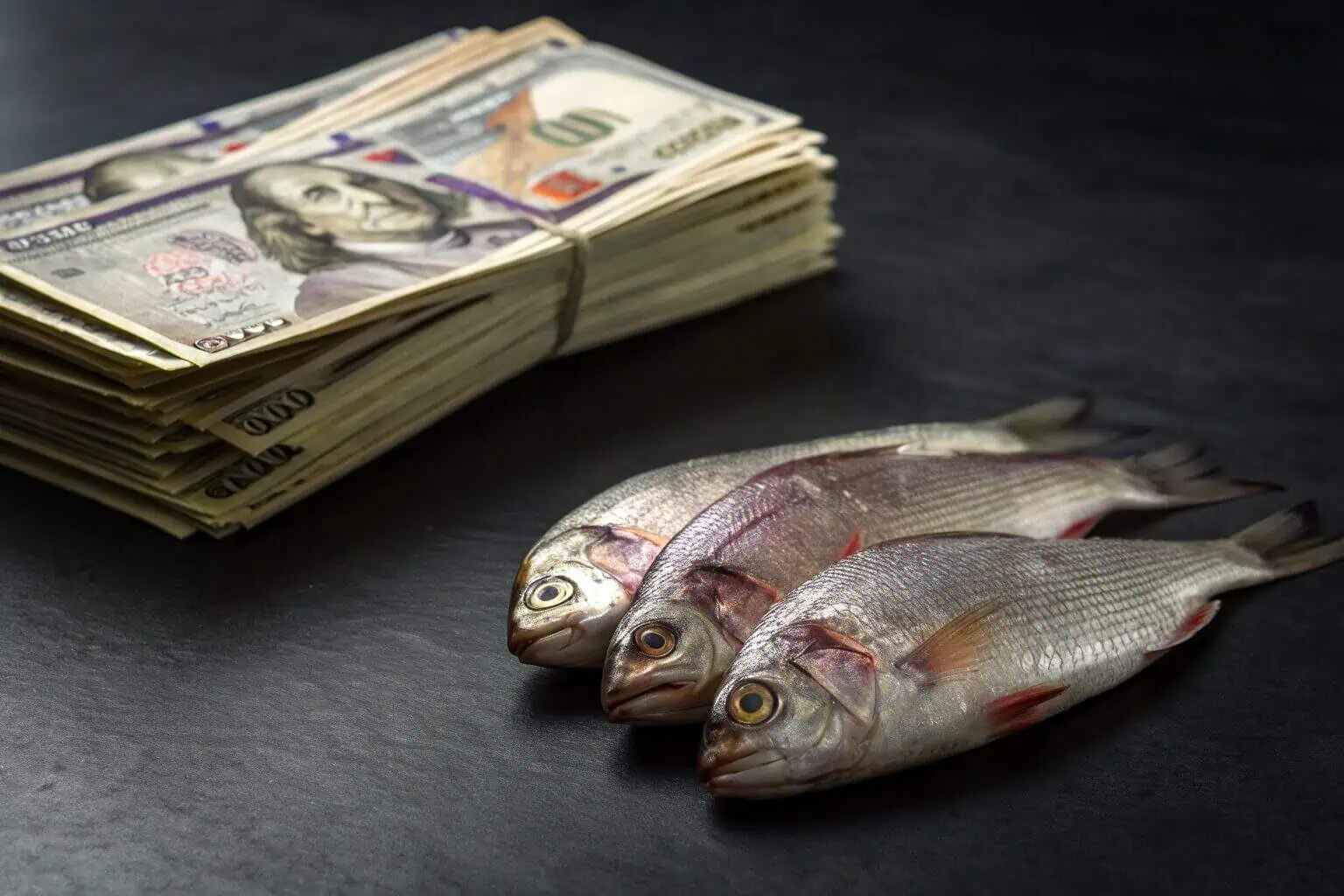 Close-up of Indian currency notes next to a handful of freshly harvested fish
