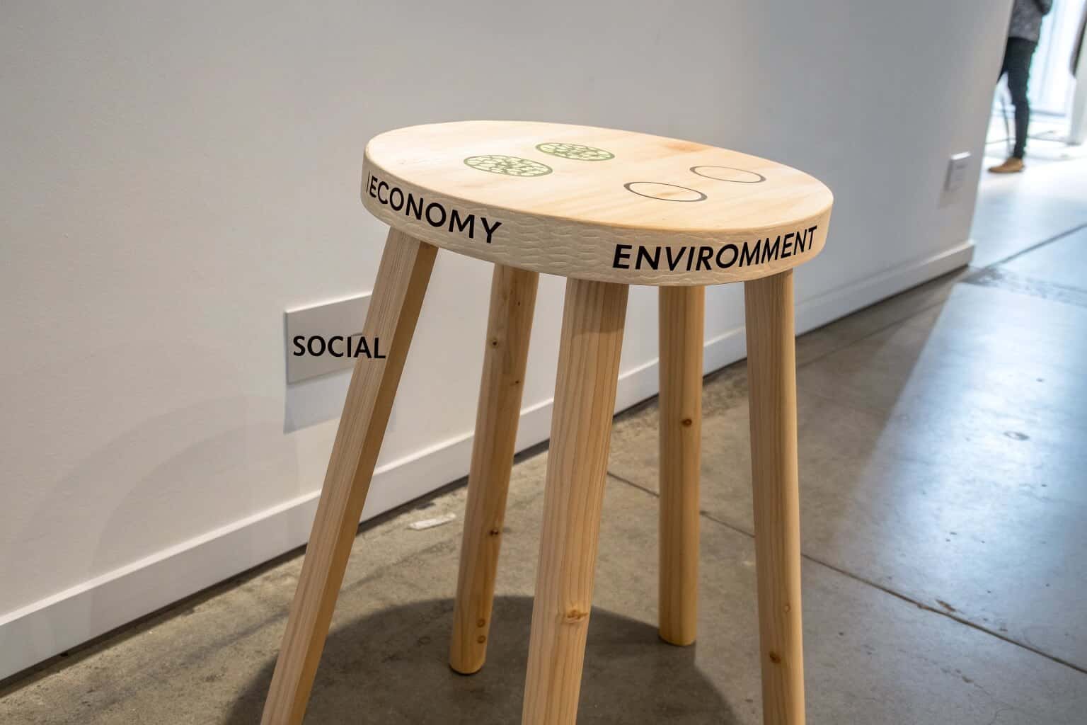 A diagram showing the balance between economy, environment, and society