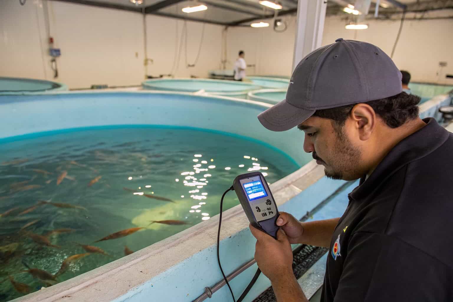 A worker checking water quality parameters with a digital meter