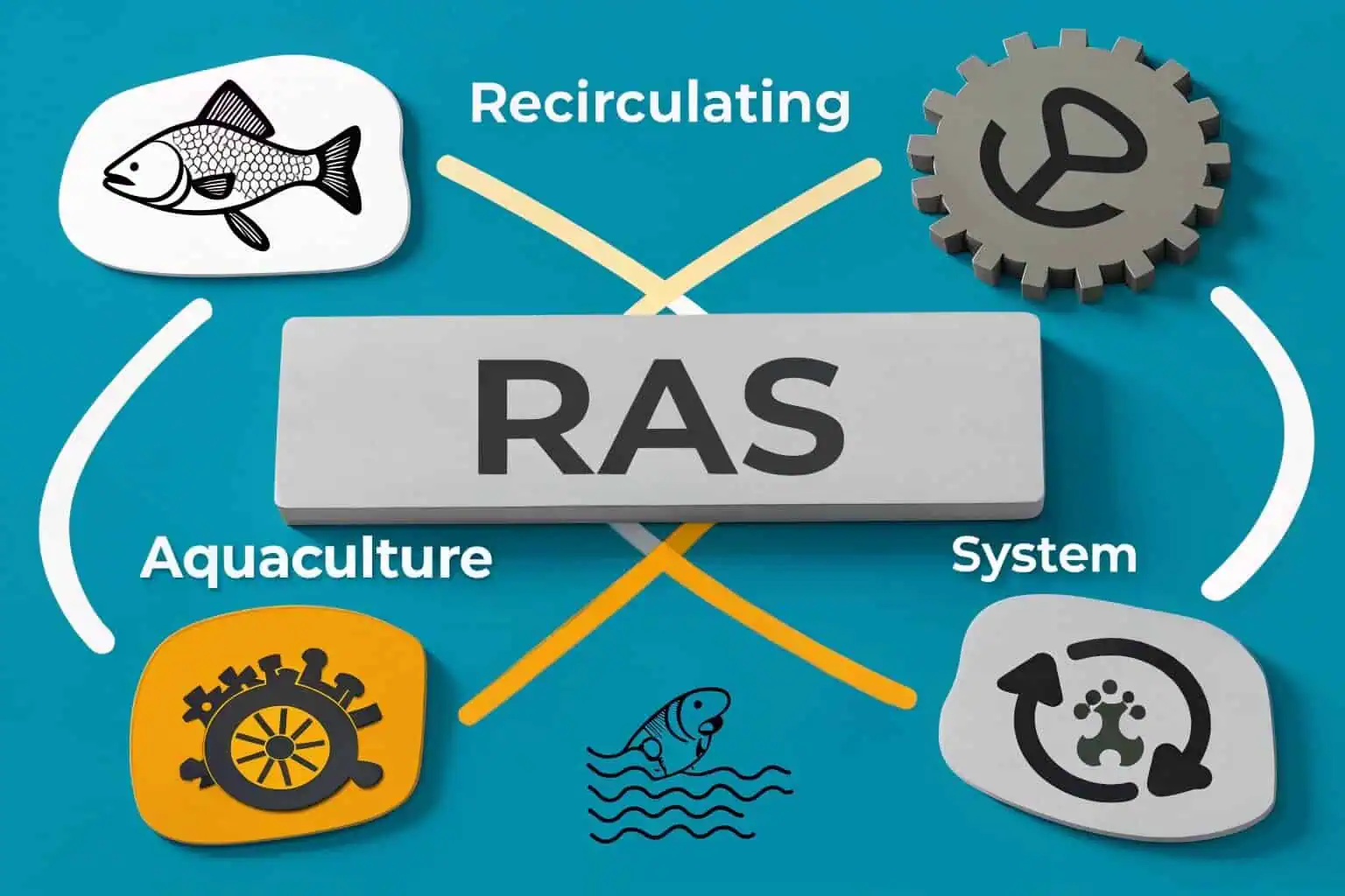 Infographic breaking down the acronym RAS - Recirculating Aquaculture System
