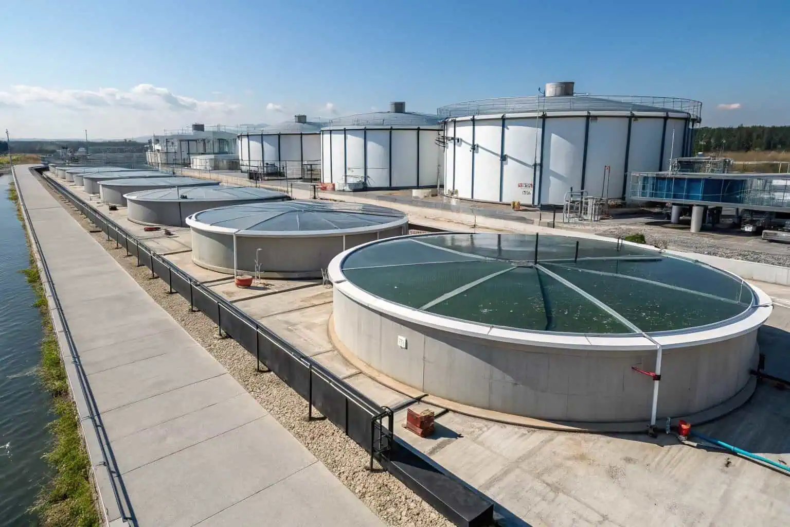 A graph showing the growth of the ornamental fish market