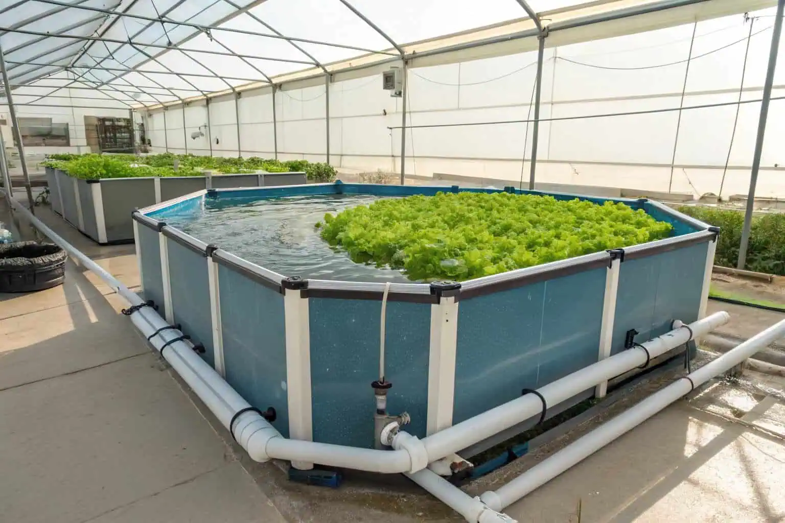 A chart showing the U.S. export ranking compared to other countries