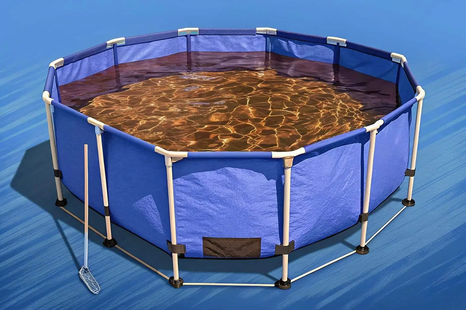 A family admiring a small, collapsible plastic fish tank in their backyard