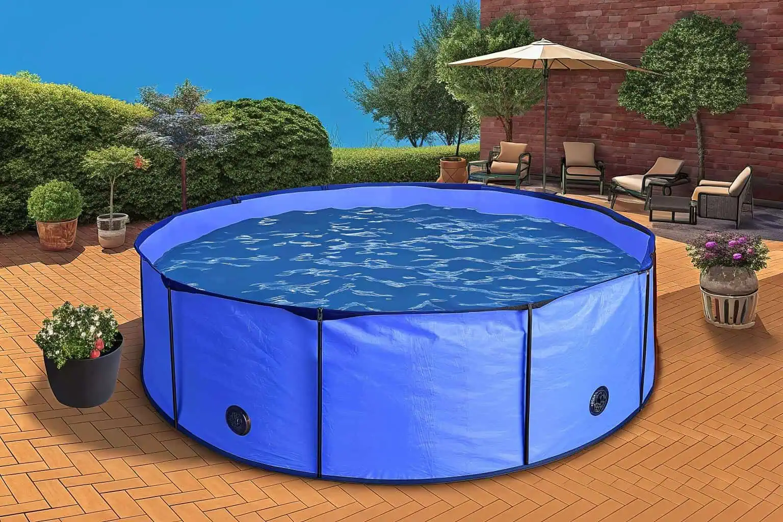 A serene backyard pond with fish swimming lazily