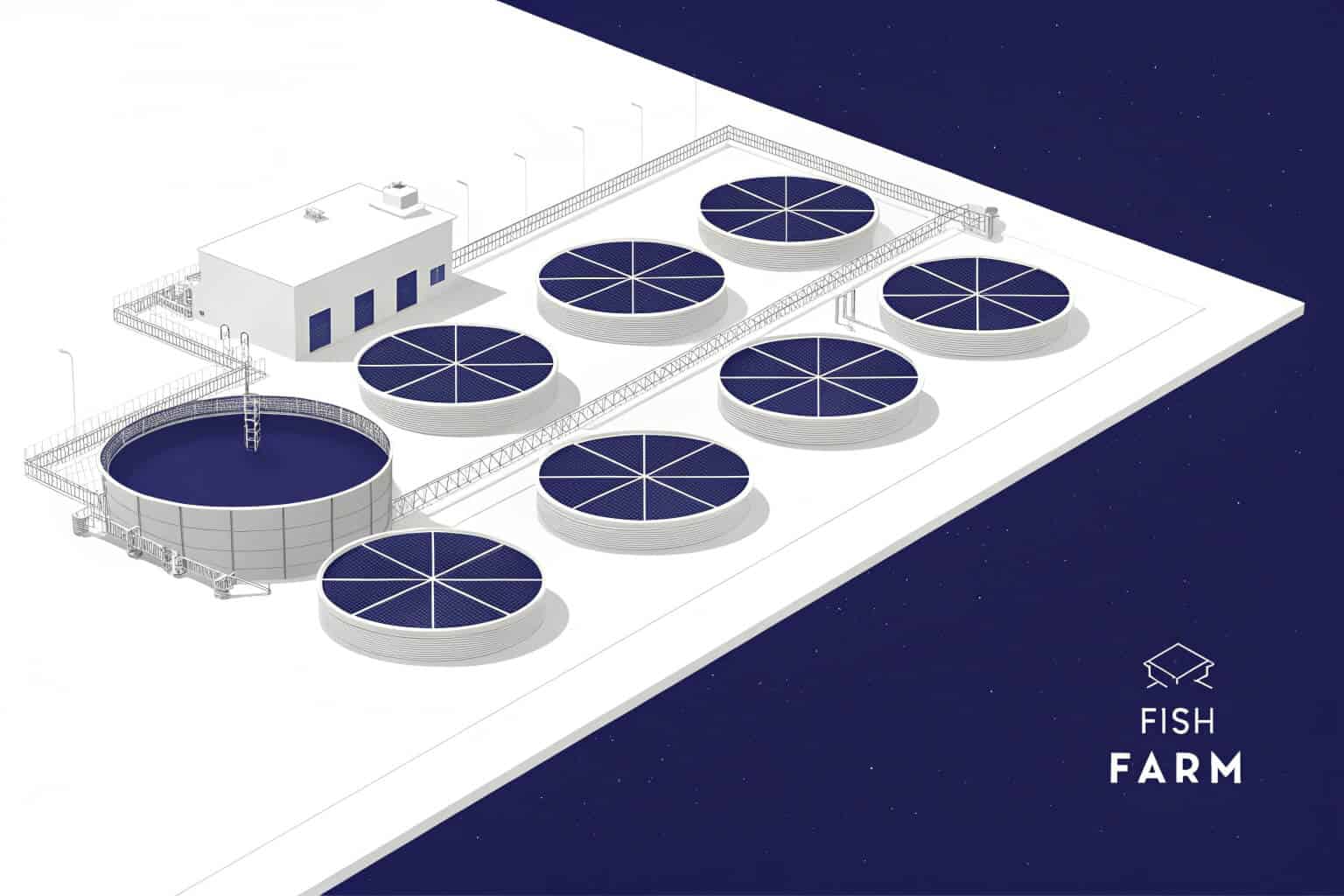 A colorful array of guppies in a farm tank