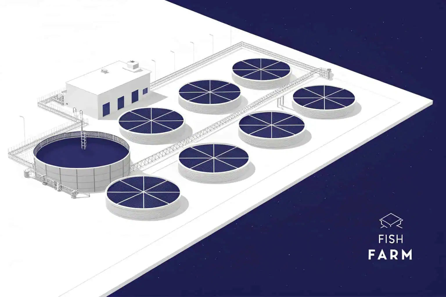 A colorful array of guppies in a farm tank