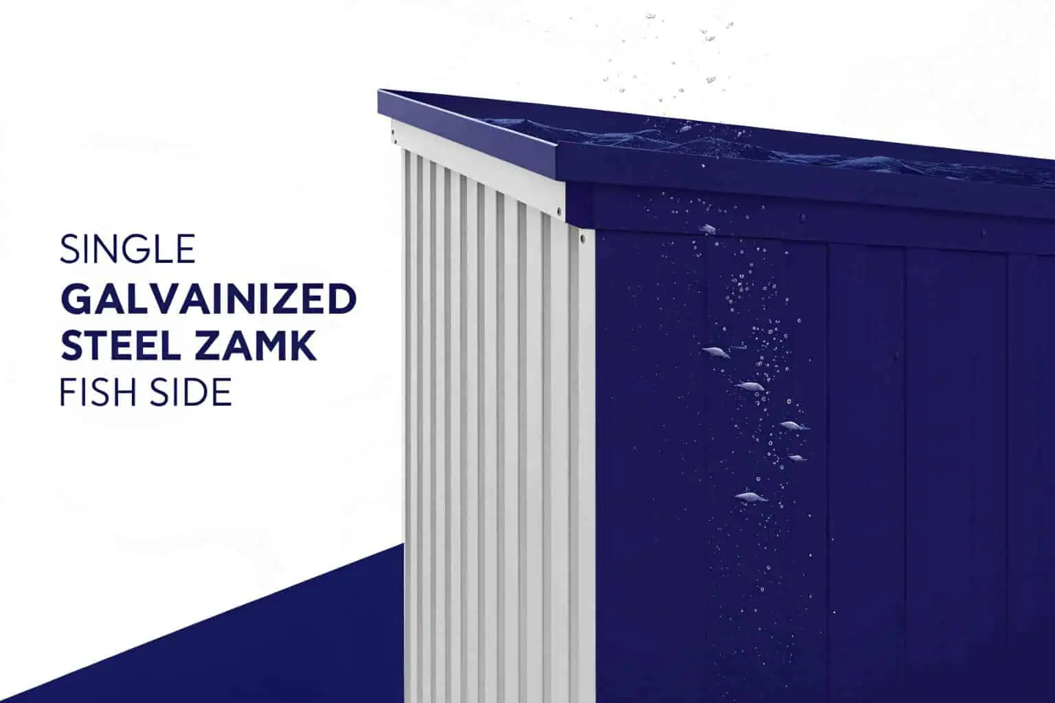 Close-up of a brightly colored male guppy