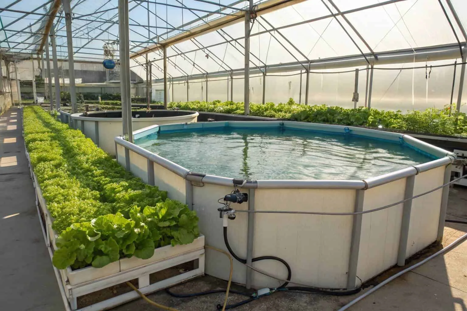 A diagram showing the cycle of sustainable fish farming