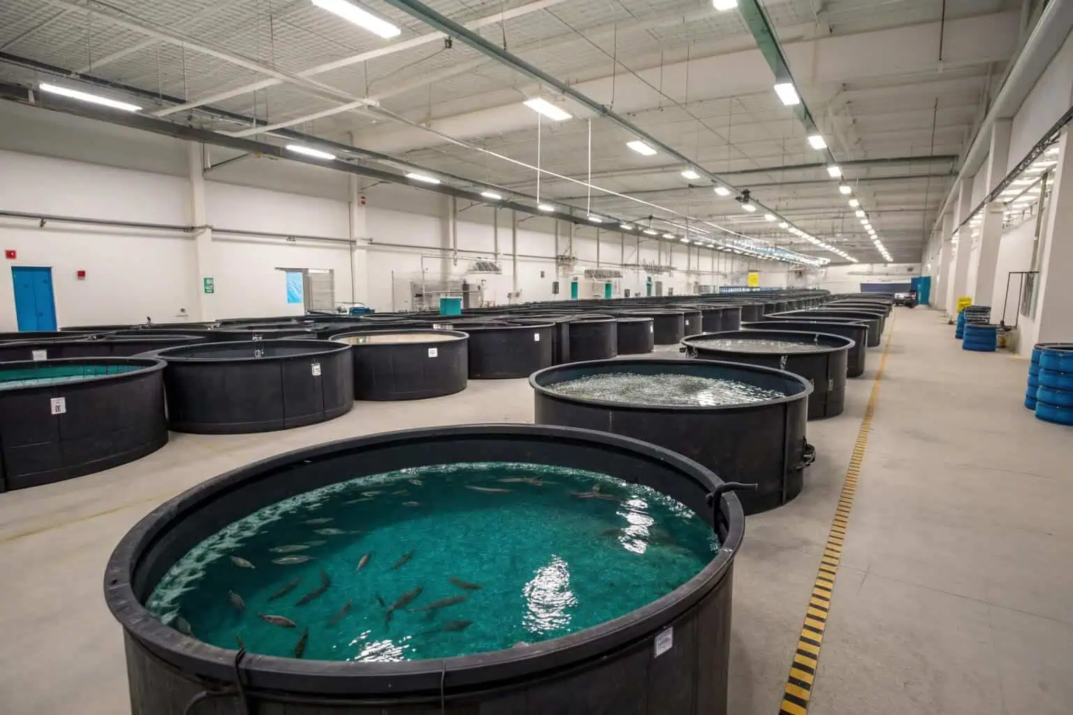 A clear, cold fjord in Norway