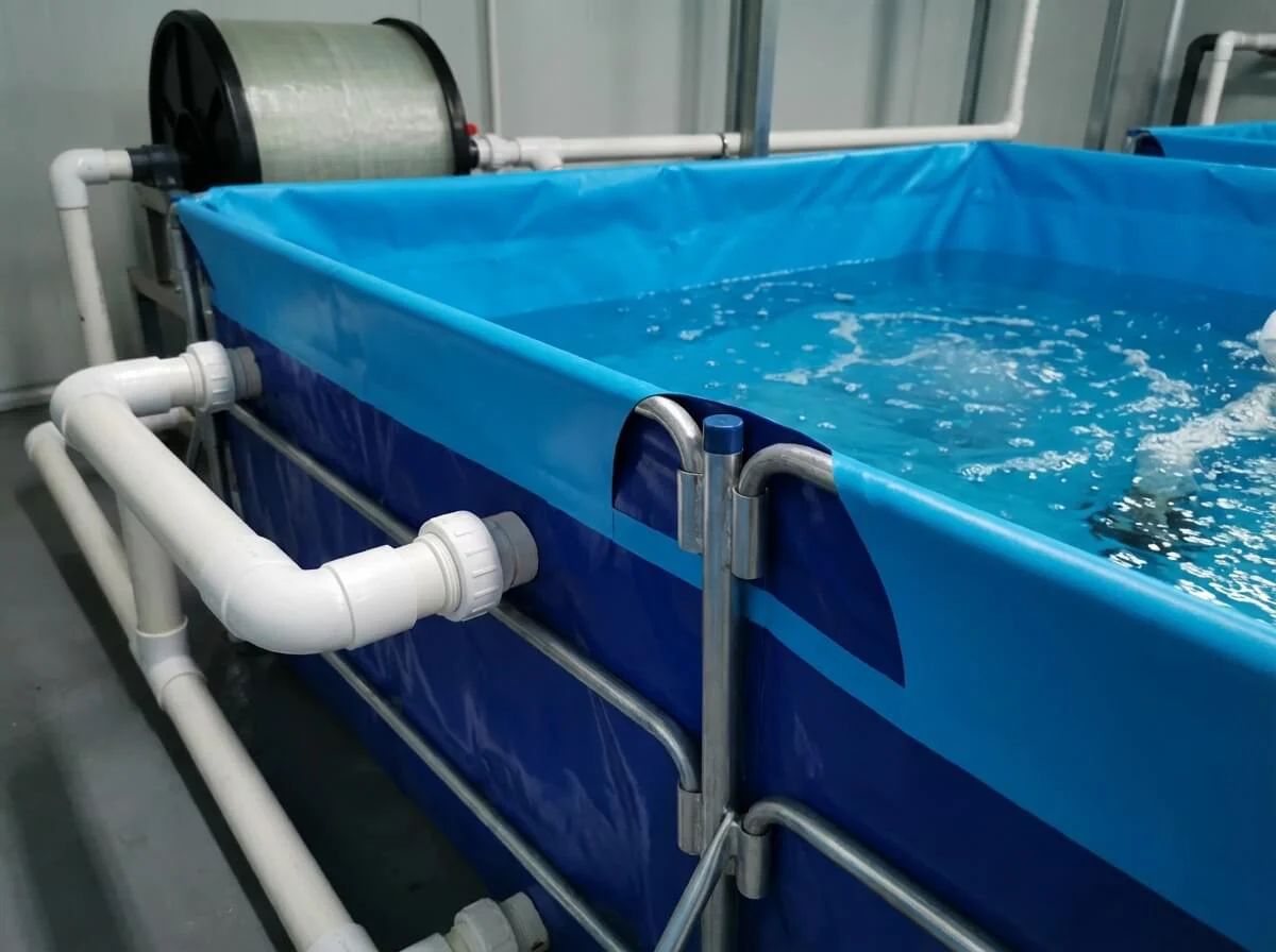 Rectangular fish tank integrated with white PVC plumbing and RAS filtration equipment.