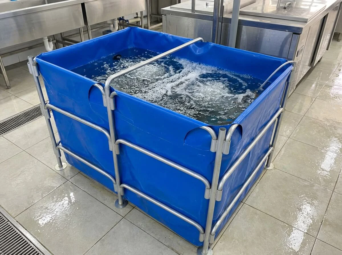 Clean commercial holding tank for live seafood in a restaurant or market backend.